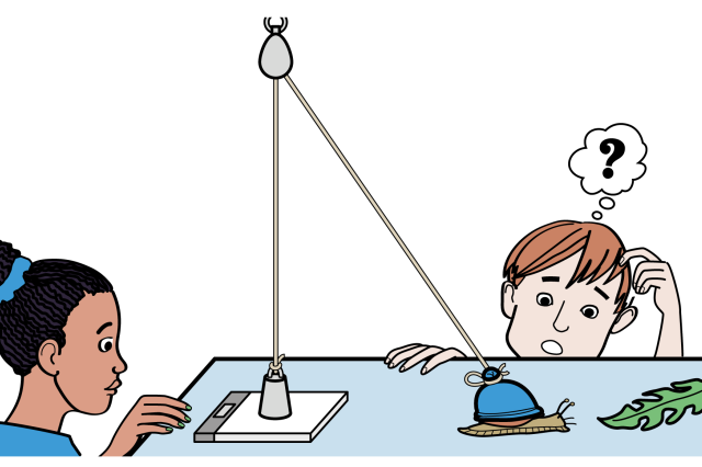 Elever undersøger hvor tungt et lod en snegl kan trække